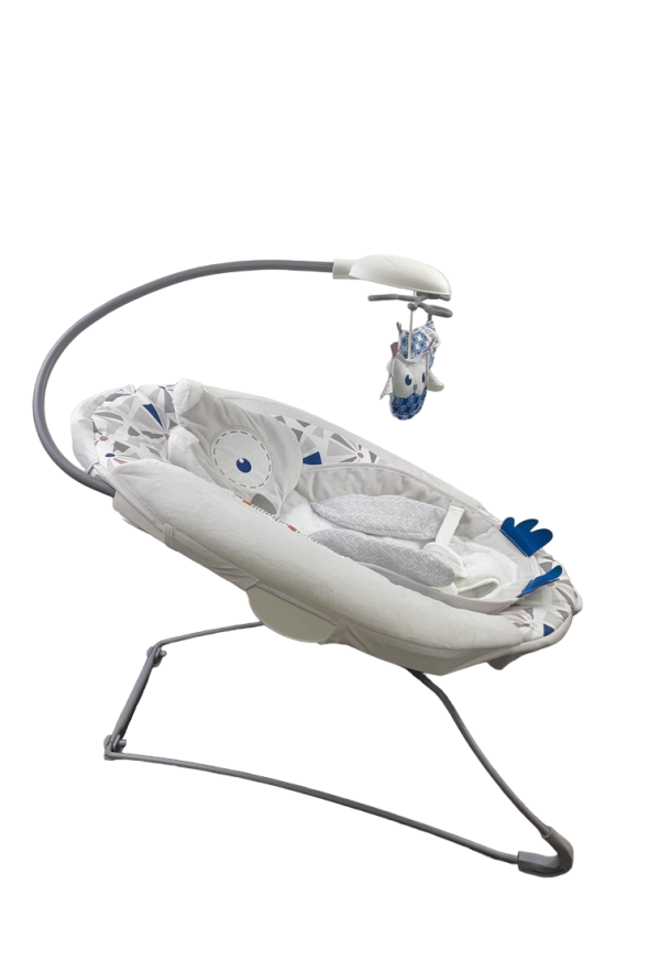 Fisher Price Deluxe Bouncer, Owl Love You Online - Image 5